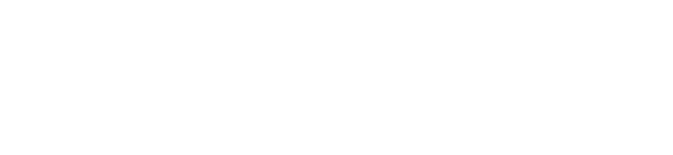 AutoData Solutions